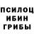 Псилоцибиновые грибы прущие грибы Nickolas Baranski
