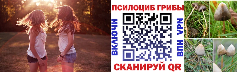Галлюциногенные грибы GOLDEN TEACHER Бежецк